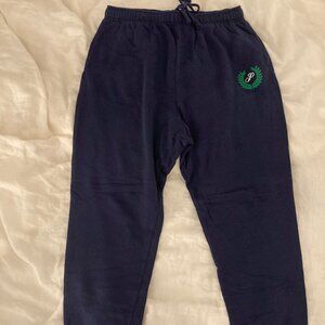 Pink by Victoria's Secret Blue Cute Sweatpants